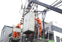 Lịch cúp điện Tây Ninh mới nhất (12/1 đến 14/1) Tân Châu, Trảng Bàng, Tân Ninh, Gò Dầu, Cần Giuộc mất điện nhiều hộ nuôi tôm