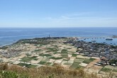 Quảng Ngãi chính thức đề xuất quy hoạch sân bay trên đảo Lý Sơn