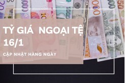 Tỷ giá ngoại tệ hôm nay 16/1: Biến động không đồng nhất