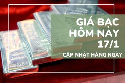 Giá bạc hôm nay 17/1 bạc SBJ giữ đỉnh thị trường, Bạc Phú Quý và Ancarat quay đầu điều chỉnh