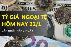 Tỷ giá ngoại tệ hôm nay 22/1 euro và bảng Anh đồng loạt giảm sâu, đô la Úc bật tăng hơn 100 đồng