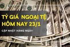 Tỷ giá ngoại tệ hôm nay 23/1 đồng euro, bảng Anh tăng mạnh, USD ổn định, yen Nhật giảm nhẹ