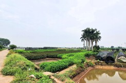 Dự án Habiotech hơn tỷ USD ở Hà Nội có thể thu hút đầu tư từ cuối 2026