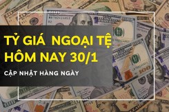 Tỷ giá ngoại tệ hôm nay 30/1 đồng loạt giảm sâu, USD mất hơn 150 đồng