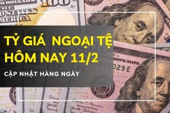 Tỷ giá ngoại tệ hôm nay 11/2 đồng USD, euro và yen Nhật bật tăng tại nhiều ngân hàng