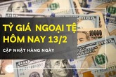 Tỷ giá ngoại tệ hôm nay 13/2 đồng loạt lao dốc tại ngân hàng