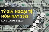 Tỷ giá ngoại tệ hôm nay 25/2 đồng USD và euro tiếp đà tăng, yen Nhật quay đầu giảm