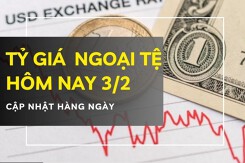 Tỷ giá ngoại tệ hôm nay 3/2 USD và bảng Anh bật tăng, euro tiếp tục trượt giá