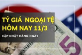 Tỷ giá ngoại tệ hôm nay 11/3 đảo chiều giảm tại phần lớn ngoại tệ, riêng đôla Úc tăng mạnh trên 100 đồng