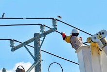 Lịch cúp điện Cà Mau tuần này (từ 30/3 đến 1/4) một số nơi ở phường Tân Thành, Bạc Liêu, xã Thới Bình và Vĩnh Lợi mất điện nhiều giờ