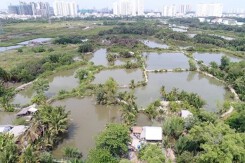 TP HCM loại 33 khu đất khỏi danh mục thí điểm nhà ở thương mại
