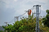 Lịch cúp điện Tây Ninh tuần này (13/4 - 19/4) mất điện diện rộng tại phường Tân Ninh, Gia Lộc, Trảng Bàng, Hoà Thành, Long An, Tân An, Kiến Tường