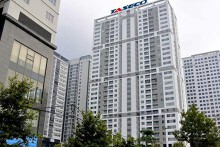 Taseco Land lên kế hoạch lãi tăng 273%, khởi công 11 dự án mới