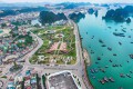 Quảng Ninh công bố loạt doanh nghiệp nợ thuế hơn 3.400 tỷ đồng