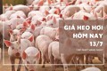 Giá heo hơi hôm nay 13/7 miền Bắc và miền Trung tăng nhẹ, Hà Nội và Hưng Yên lên 67.000 đồng/kg