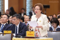 Tập đoàn BRG đề xuất thí điểm cơ chế đặc thù cho các tổ hợp thương mại, du lịch, vui chơi giải trí quy mô lớn