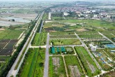 Hà Nội đấu giá 35 thửa đất tại xã Tiến Thắng, khởi điểm 6,3 triệu đồng/m2