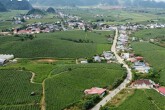 Xuân Trường nghiên cứu đầu tư vào Mộc Châu