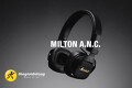 Tai nghe Marshall Milton A.N.C có phải lựa chọn
cân bằng nhất giữa Major V và Monitor III?