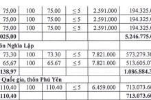 Hà Nội đấu giá 30 thửa đất ở tại xã Chuyên Mỹ, khởi điểm từ 2,5 triệu đồng/m2