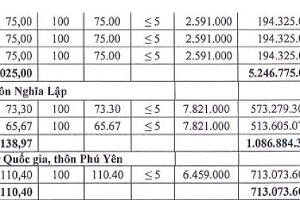Hà Nội đấu giá 30 thửa đất ở tại xã Chuyên Mỹ, khởi điểm từ 2,5 triệu đồng/m2