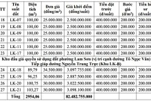 Hưng Yên đấu giá 27 thửa đất ở tại phường Sơn Nam, khởi điểm từ 24 triệu đồng/m2