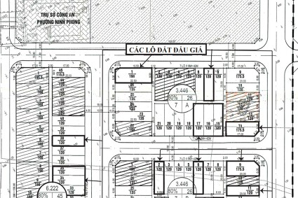 Ninh Bình đấu giá 53 lô đất tại phường Nam Hoa Lư, khởi điểm từ 16 triệu đồng/m2
