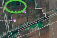 Đất có quy hoạch ở xã Trực Ninh, tỉnh Ninh Bình