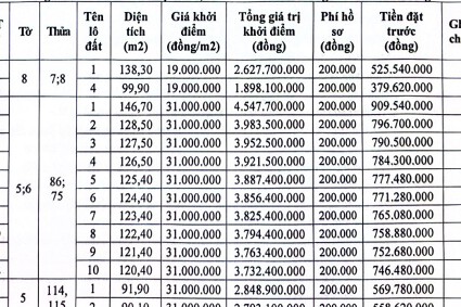 Ninh Bình đấu giá 14 lô đất ở tại phường Mỹ Lộc, khởi điểm từ 19 triệu đồng/m2