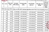 Cửa Lò, Nghệ An đấu giá 60 lô đất, khởi điểm từ 12 triệu đồng/m2