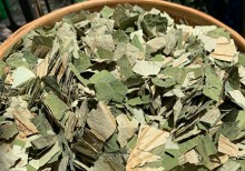 Loại lá mọc tràn ao bùn Việt Nam, 400.000 đồng/kg, chị em ưa dùng để giữ eo