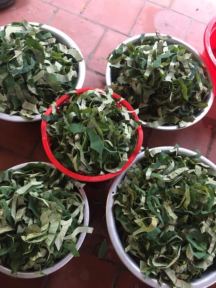 Loại lá mọc tràn ao bùn Việt Nam, 400.000 đồng/kg, chị em ưa dùng để giữ eo - Ảnh 2. Loại lá mọc tràn ao bùn Việt Nam, 400.000 đồng/kg, chị em ưa dùng để giữ eo - Ảnh 2.
