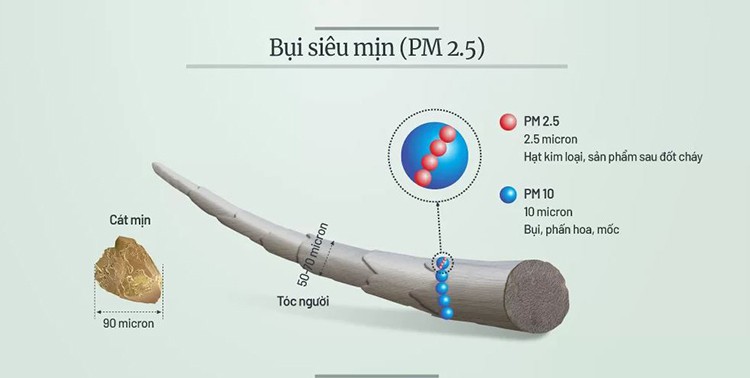Nồng độ bụi PM2.5 ở Hà Nội cao nhất 5 năm qua - Ảnh 3. Nồng độ bụi PM2.5 ở Hà Nội cao nhất 5 năm qua - Ảnh 3.