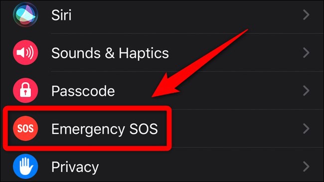 apple-iphone-watch-app-select-emergency-sos tinh-nang-fall-detection-trong-apple-watch-su-dung-nhu-the-nao-trong-truong-hop-khan-cap-3