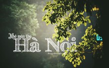 Chiêm ngưỡng cái tình của mùa thu Hà Nội qua ống kính của nhiếp ảnh gia