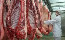 Thương lái lùng sục mua heo, sáng tăng một giá chiều tăng một giá, người nuôi vừa bán ra là lỗ ngay chục triệu đồng