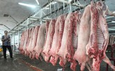 Giá cả thị trường hôm nay 11/10: Thịt heo pha lóc về chợ  Hóc Môn tăng 10.000 đồng/kg, lên sát 80.000 đồng/kg