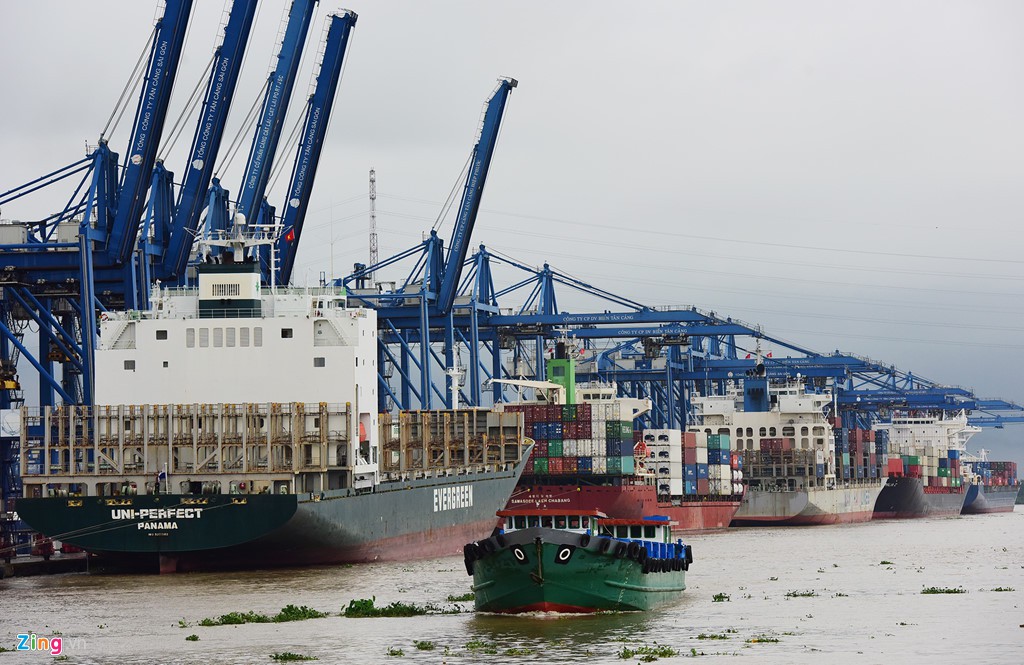 Hàng nghìn container nhích từng chút một vào cảng lớn nhất Việt Nam - Ảnh 4. Hàng nghìn container nhích từng chút một vào cảng lớn nhất Việt Nam - Ảnh 4.