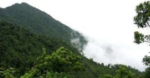 Dự án Tam Đảo 2: Báo cáo đánh giá tác động môi trường được thẩm định chặt chẽ