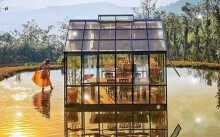 Những homestay tại Đà Lạt thu hút khách du lịch tới check-in mùa hoa dã quì
