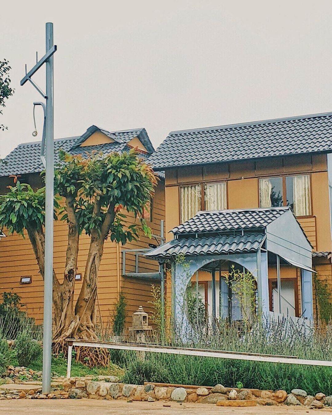 Thị trấn Nobi_my Thị trấn Nobi_my