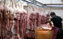 Giá heo hơi lên sát 70.000 đồng, Bộ Nông nghiệp khẳng định không để tăng đến 100.000 đồng/kg như Trung Quốc