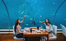 Nhà hàng dưới nước và những quán ăn độc lạ khắp thế giới