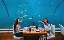 Nhà hàng dưới nước và những quán ăn độc lạ khắp thế giới