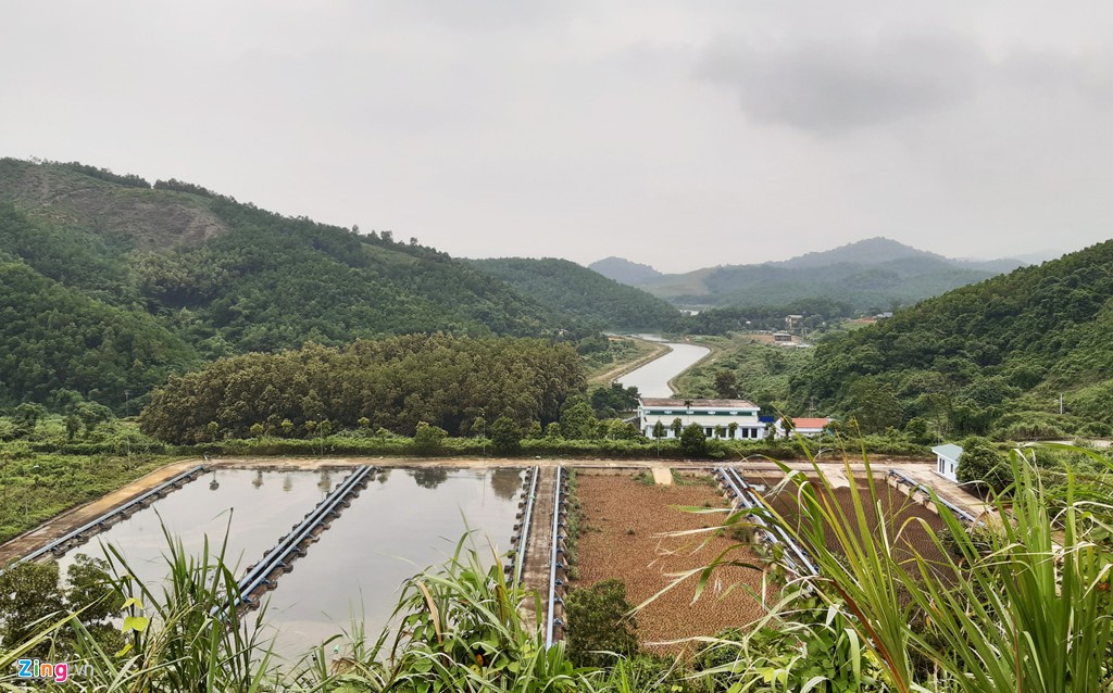 Dòng suối gần nhà máy nước sông Đà vẫn đen kịt sau 1 tuần bị đổ trộm - Ảnh 11. Dòng suối gần nhà máy nước sông Đà vẫn đen kịt sau 1 tuần bị đổ trộm - Ảnh 11.