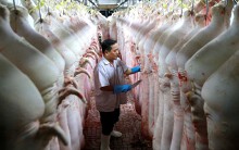 Giá heo hơi tăng liên tục, Bộ Nông nghiệp yêu cầu doanh nghiệp, hộ nuôi không găm hàng làm giá, nghiêm cấm bán heo qua Trung Quốc