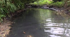 Kịch tính đường về tay doanh nhân 8X của Nước sạch Sông Đà