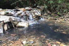 Vụ nước sạch Sông Đà nhiễm dầu: Bắt khẩn cấp hai đối tượng đổ trộm dầu thải