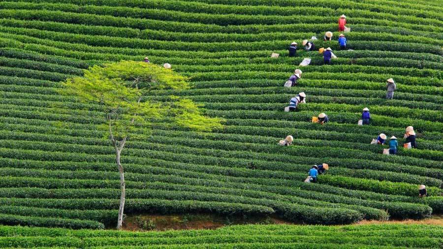 Truyền hình Mỹ gợi ý những nơi phải đến khi ở Việt Nam - Ảnh 11.