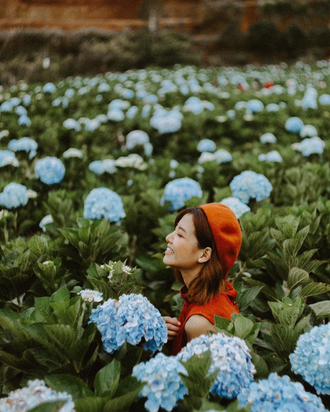 9_ Cẫm Tú Cầu_ praewjinjutha